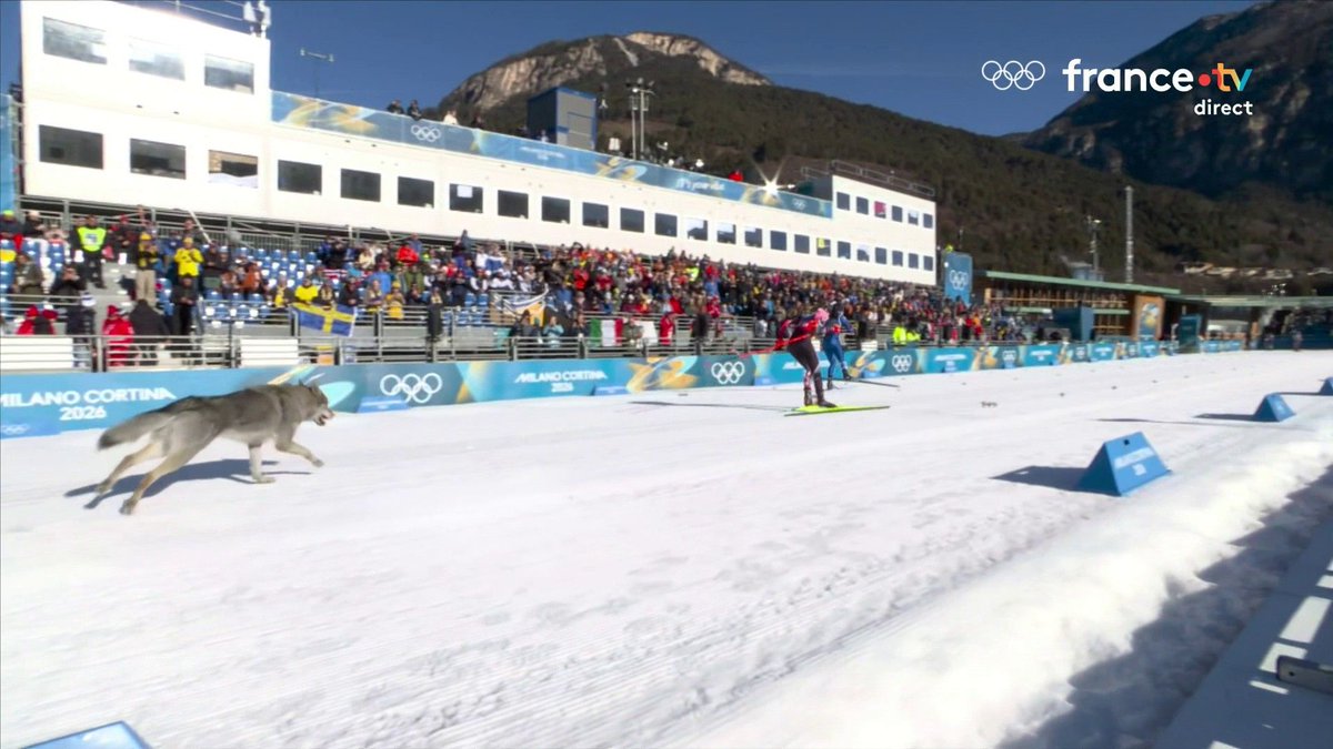 LES HUNGER GAMES SONT LANCÉS.

Puisse le sort vous être favorable