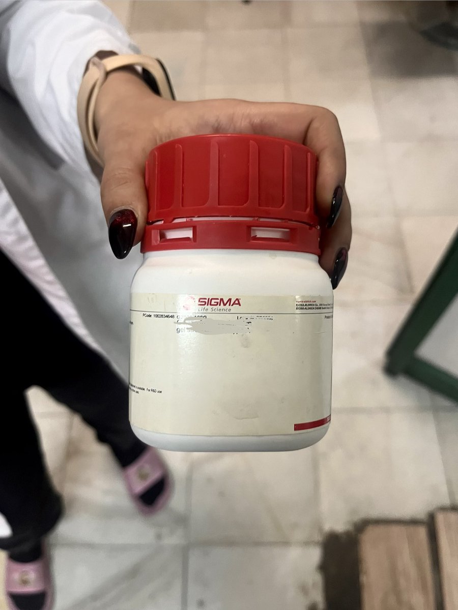 پسرخاله tweet media