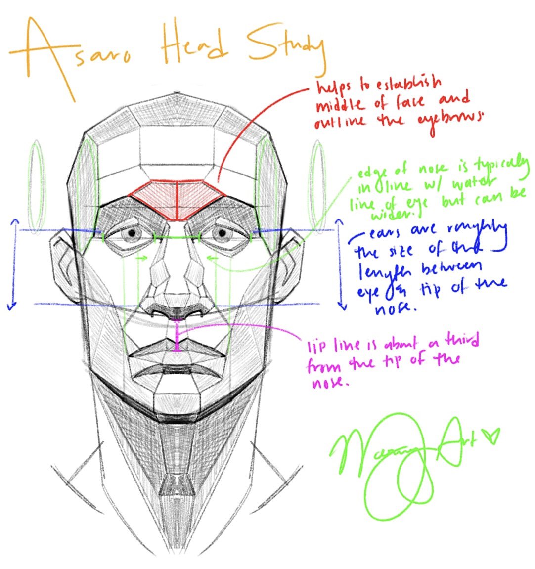 forgot how to draw faces + wanna understand face plans better so back to studying 👌🏾