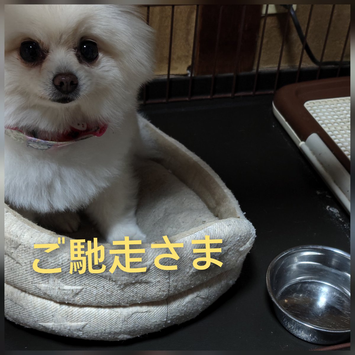 よかった ずっと続きますように