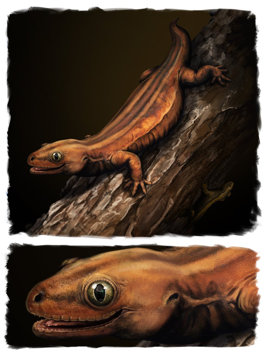 Ekhyl - Wildlife/Paleo Illustration tweet media