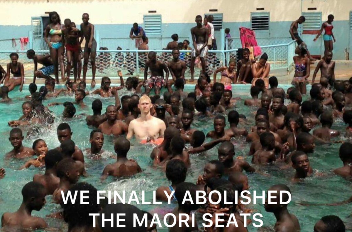 William McGimpsey🇳🇿 tweet media