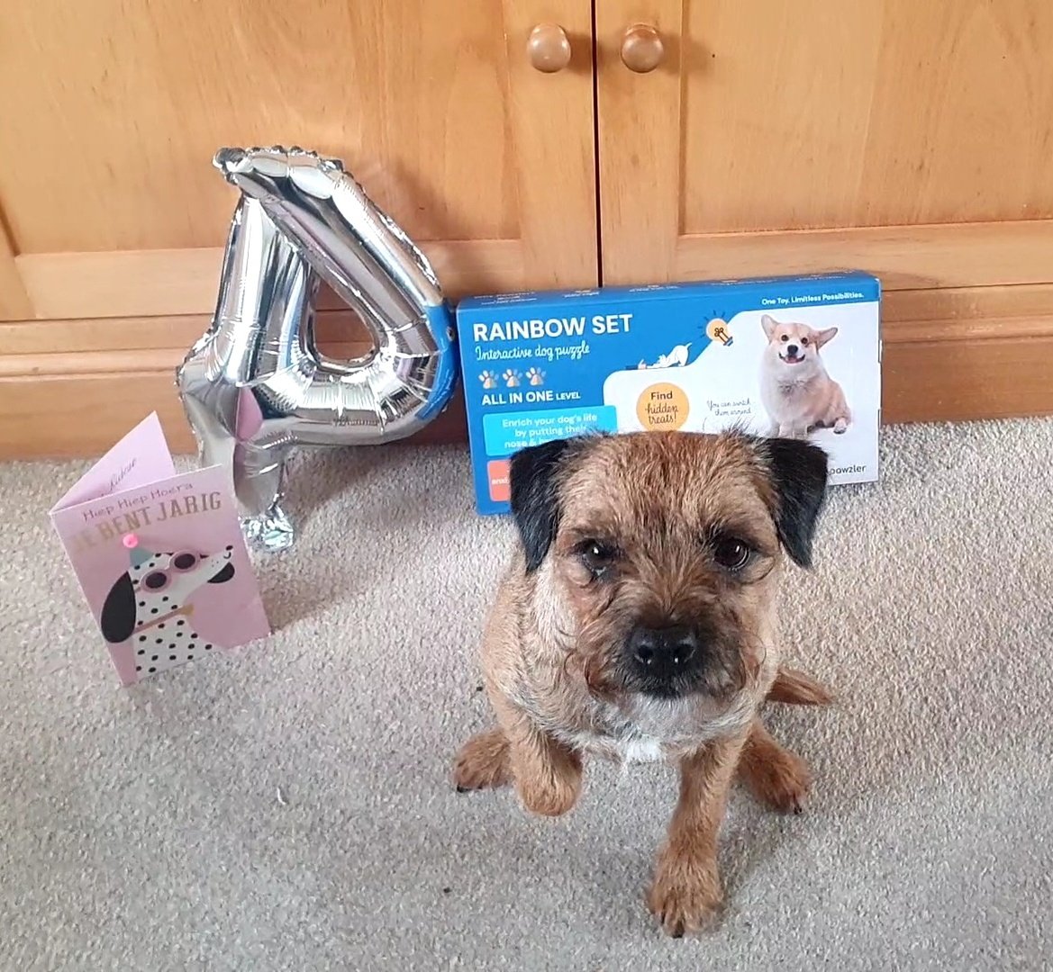 Miss Rubeae Cuddlebum BT tweet media