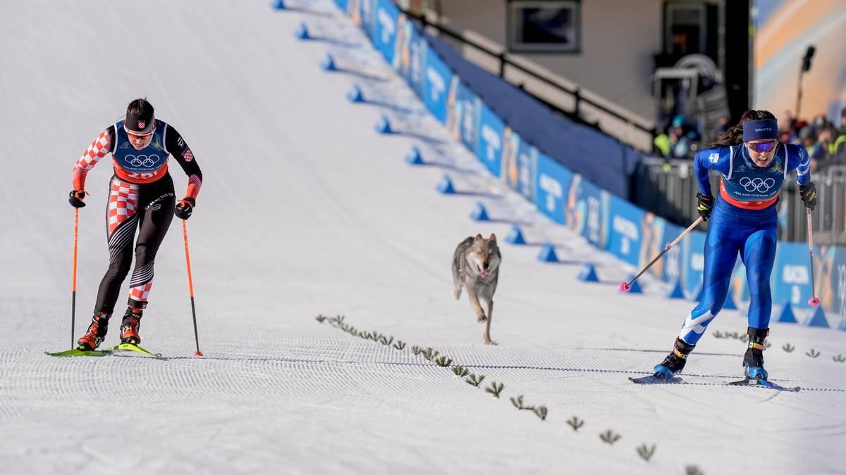 TheEditorDiary's tweet image. huge things happening at the Cross-Country Skiing