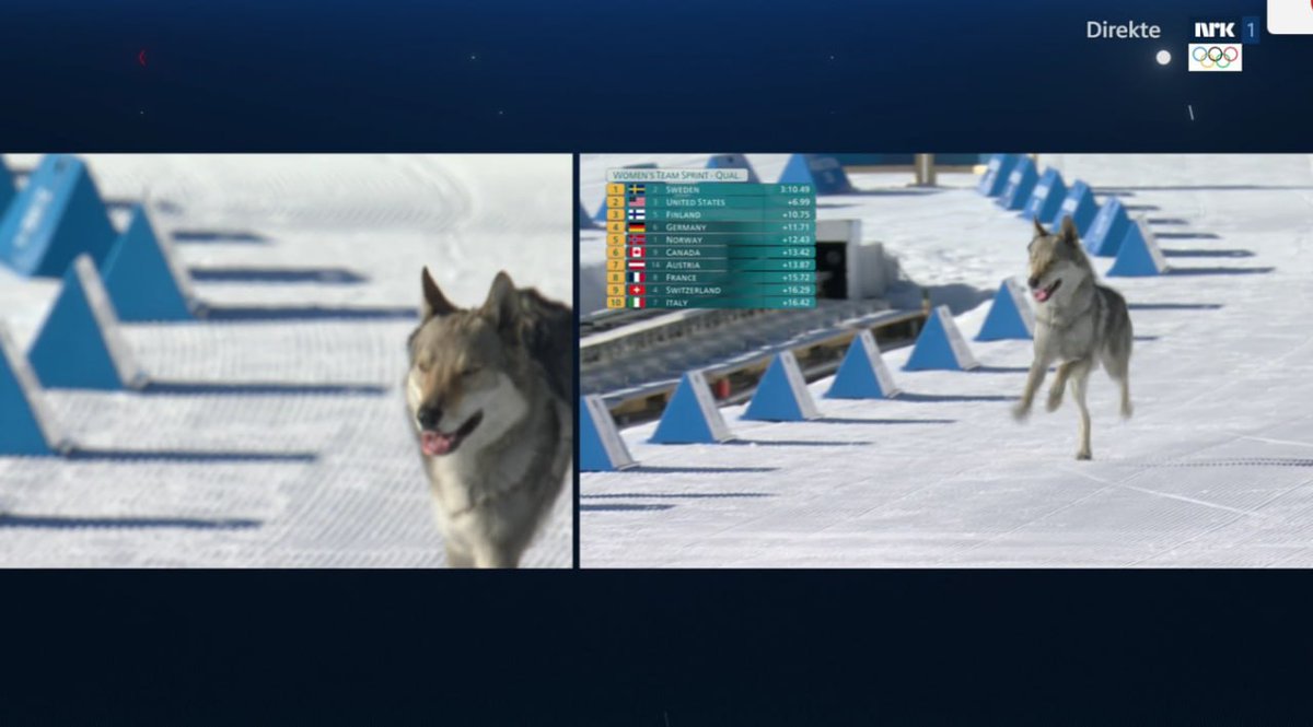 TheEditorDiary's tweet image. huge things happening at the Cross-Country Skiing