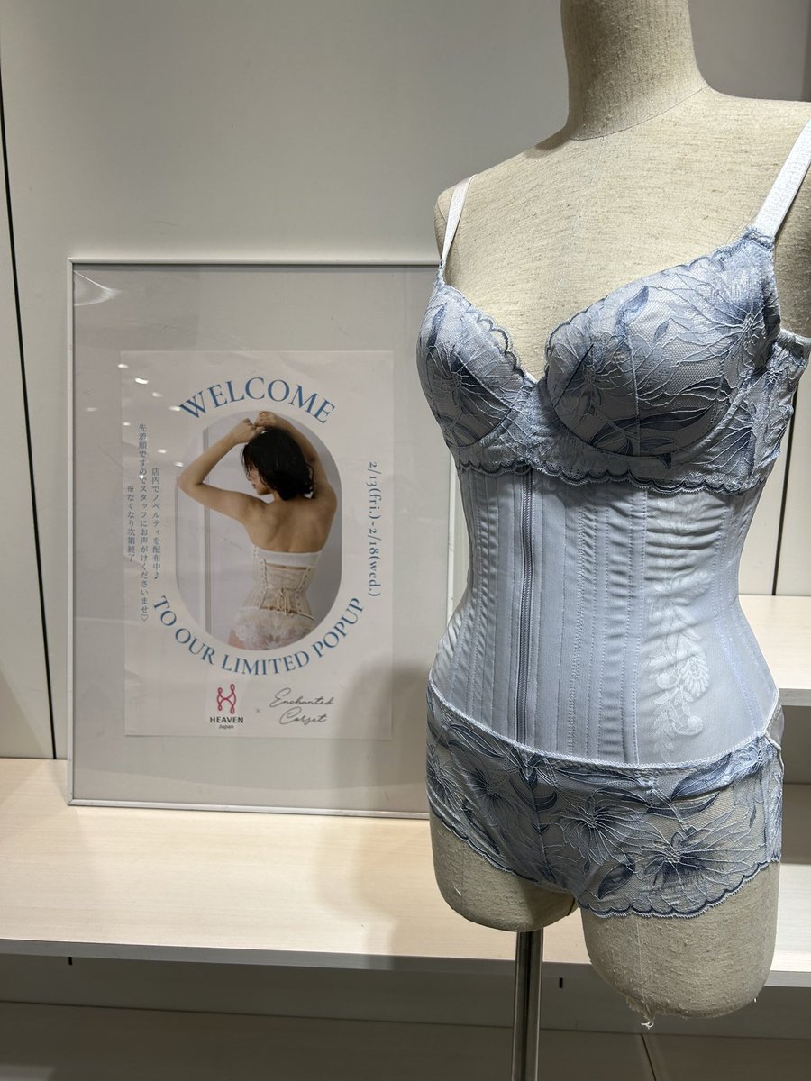 Enchanted Corset (@CorsetEnchanted) / Posts / X