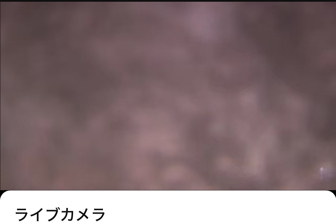 マキマキセンイル前日は雪で当日めちゃ晴れて今日にいたっては大雪😂❄️
晴れ男マキマキのお陰でライトアップ大成功だったから感謝だ🥲💗💗
もし今日がライトアップだったらLive配信雪で見えなくて終わってた⇩⇩

#andTEAM_MAKI #MAKI