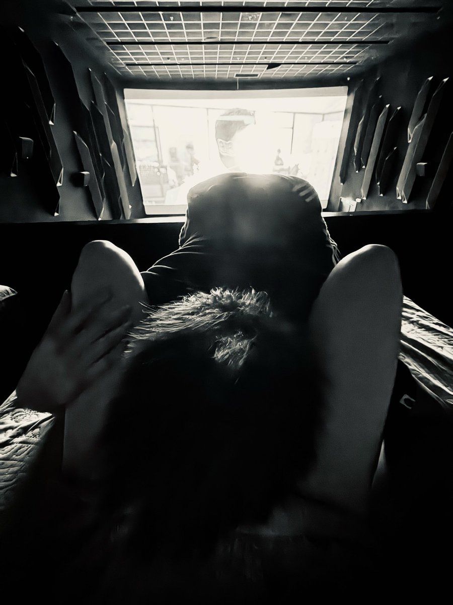 舐撻哥哥 tweet media