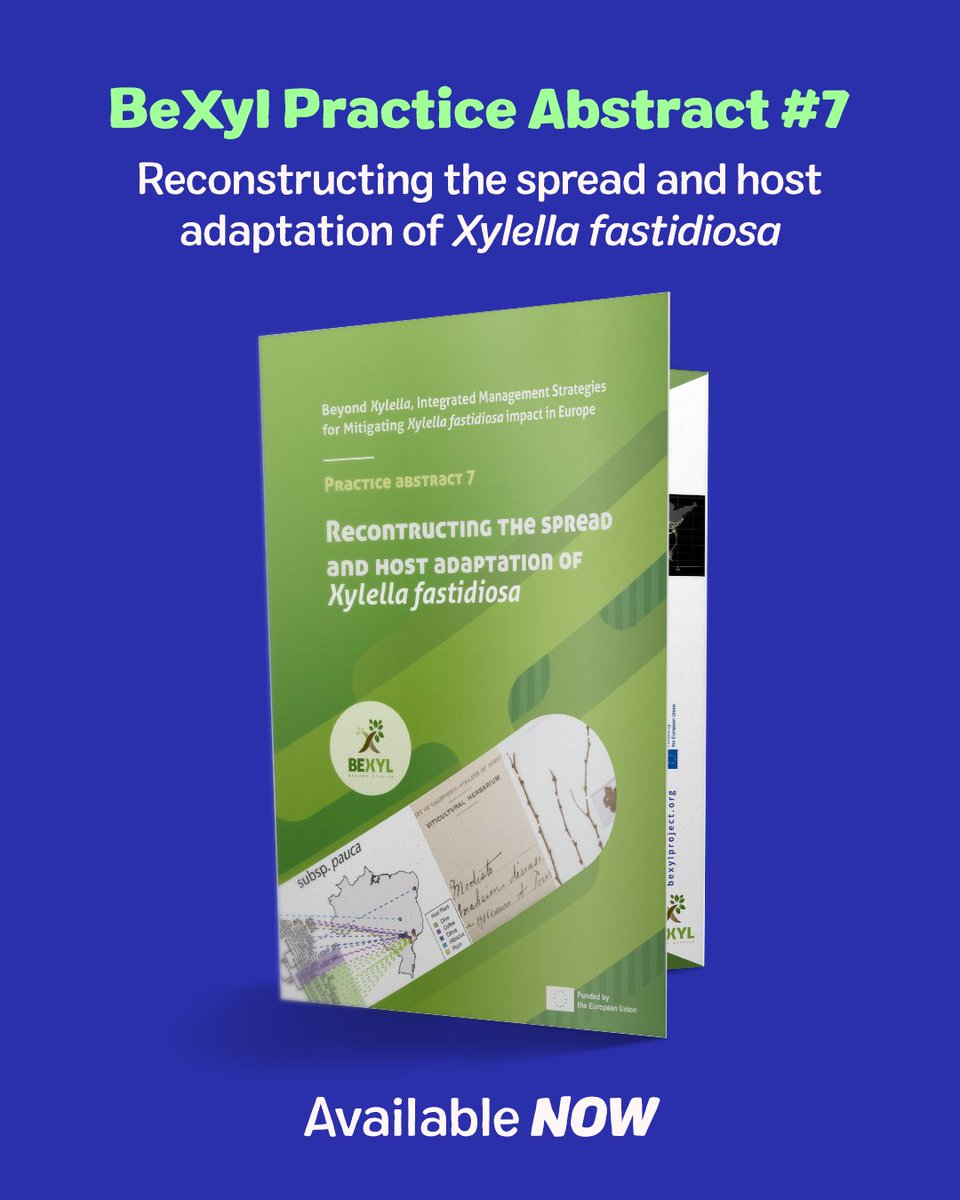 Bexyl Project tweet media