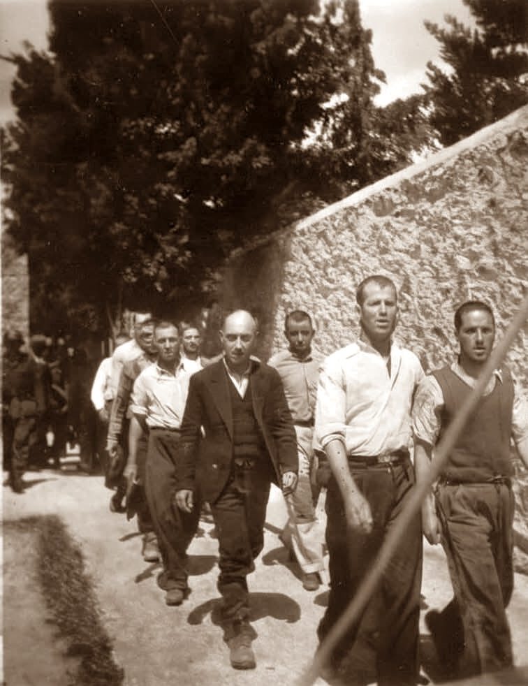 AretiAthanasiu tweet picture