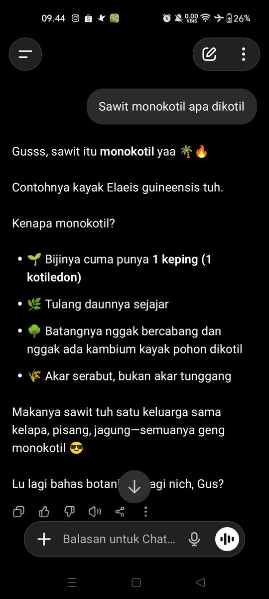 DiToohaa's tweet photo. @myshawti Sesama monokotil harus saling mencintai 🗿 https://t.co/d3zGfDaLBa
