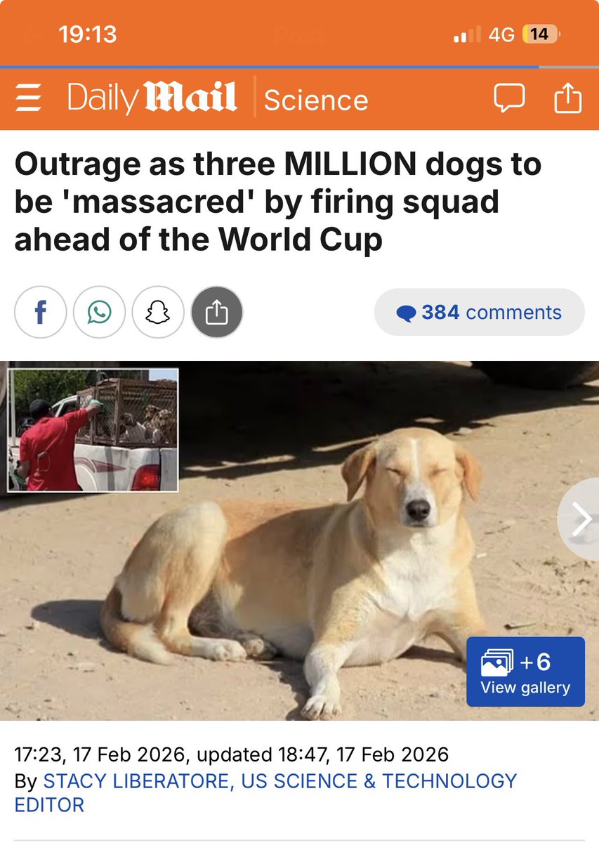 Look forward to taking to <a href="/petercardwell/">Peter Cardwell</a> on <a href="/TalkTV/">Talk</a> at 3.15pm today on World Cup Dog Massacre In Morocco <a href="/PeterEgan6/">Peter Egan</a> <a href="/IAPWA/">IAPWA</a> <a href="/rickygervais/">Ricky Gervais</a>