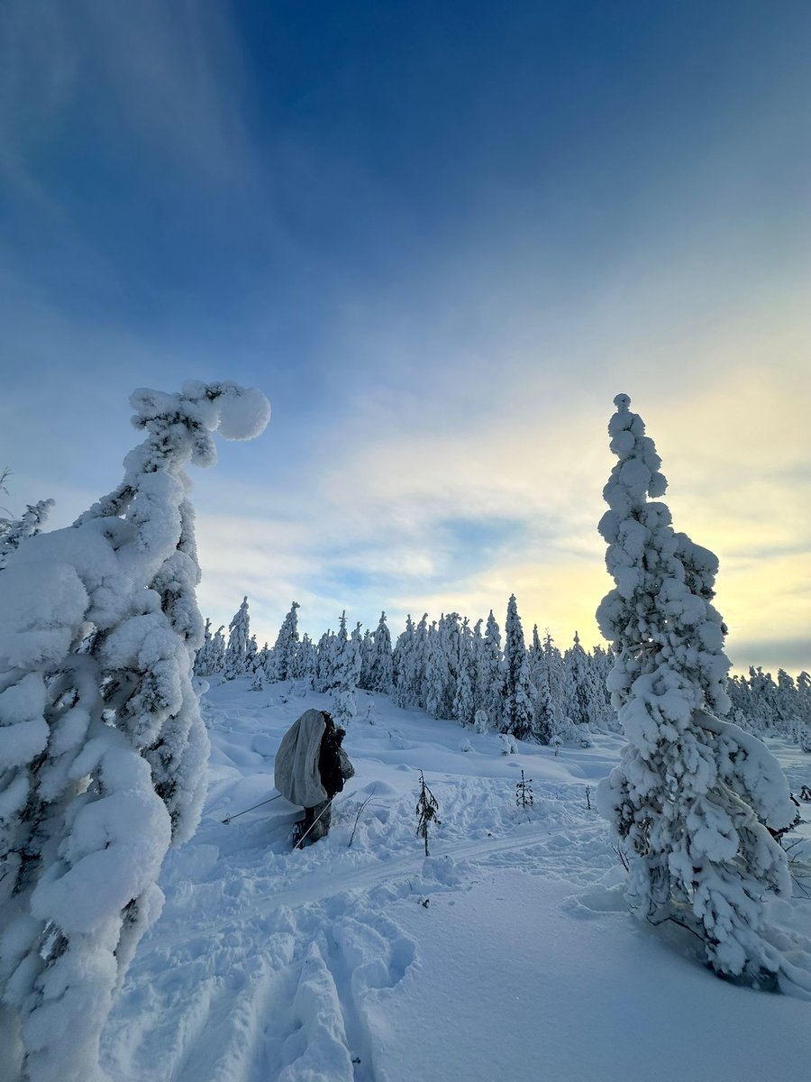 Utin jääkärirykmentti tweet media