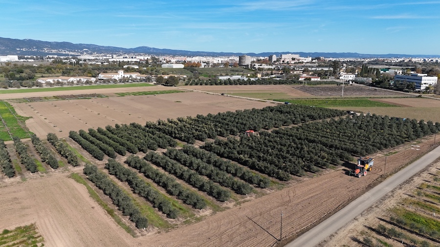 Vida Rural tweet media