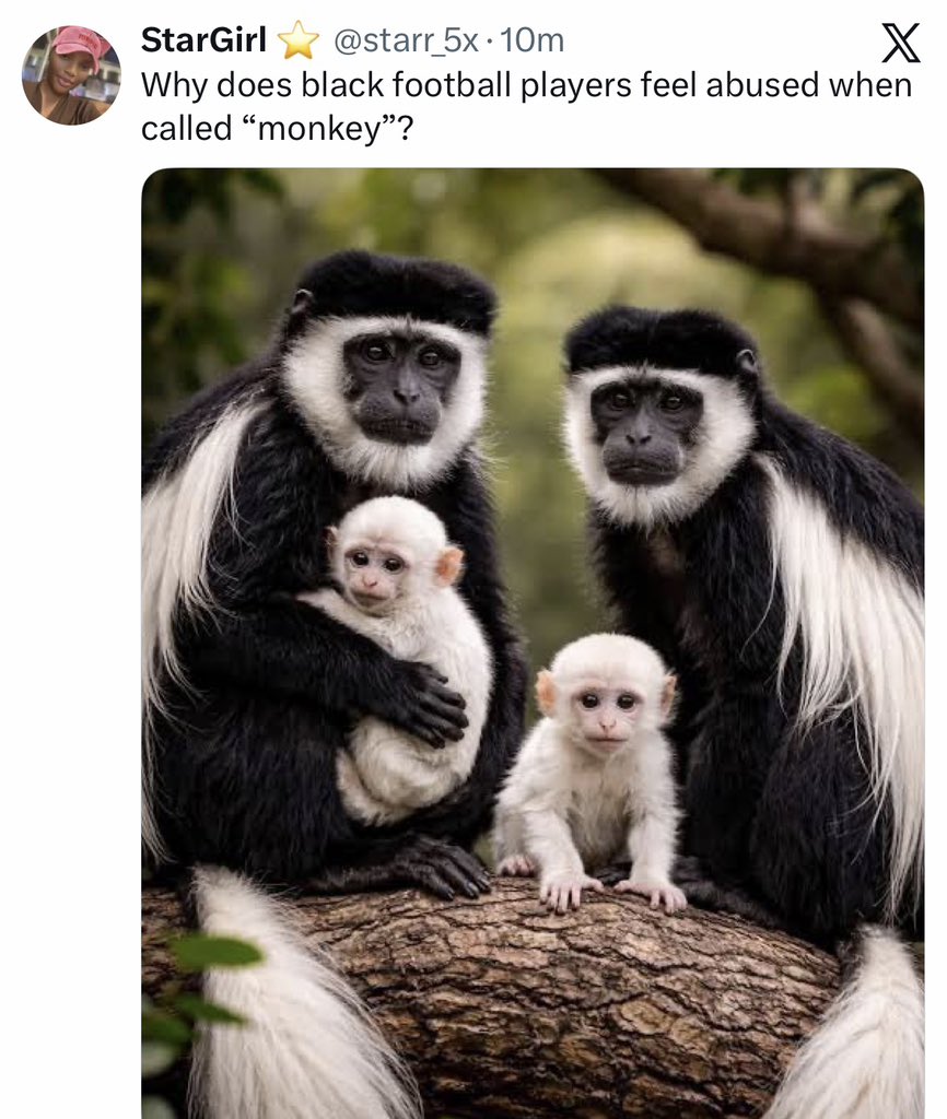 See who we dey share TL with