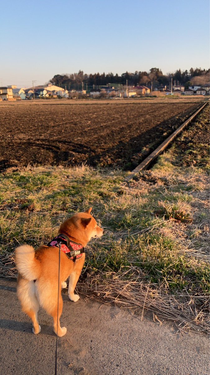 東京の食卓を支えているのは田舎なんだな〜🌾