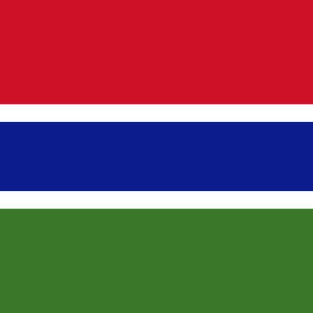 The Smile    <a href="/Gambia/">Gambia</a>          The Flag