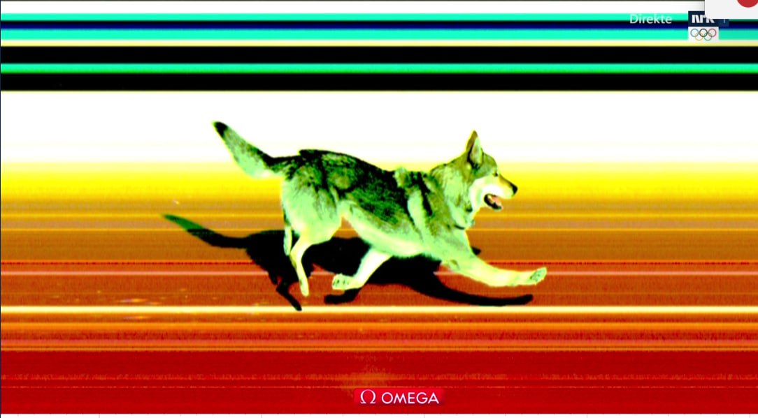 TheEditorDiary's tweet image. huge things happening at the Cross-Country Skiing