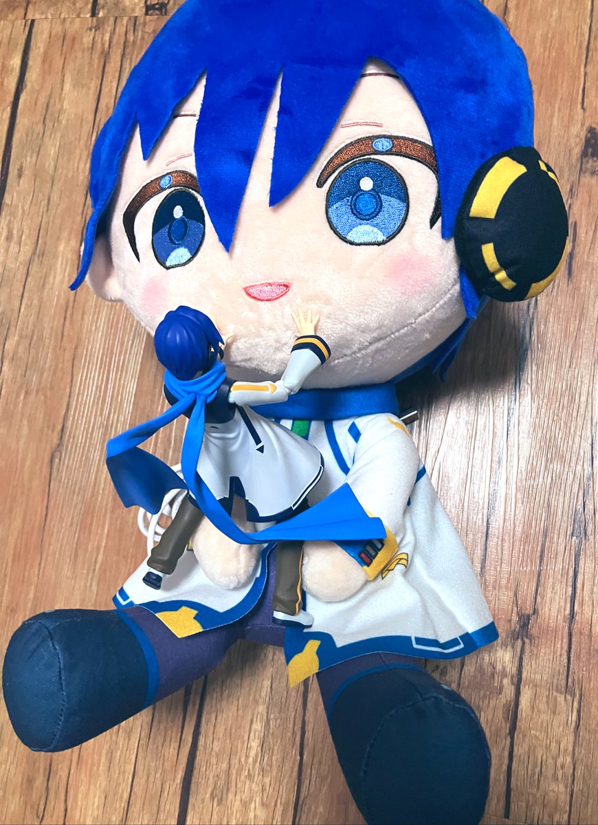 あなたKAITOっていうのね‼️‼️‼️