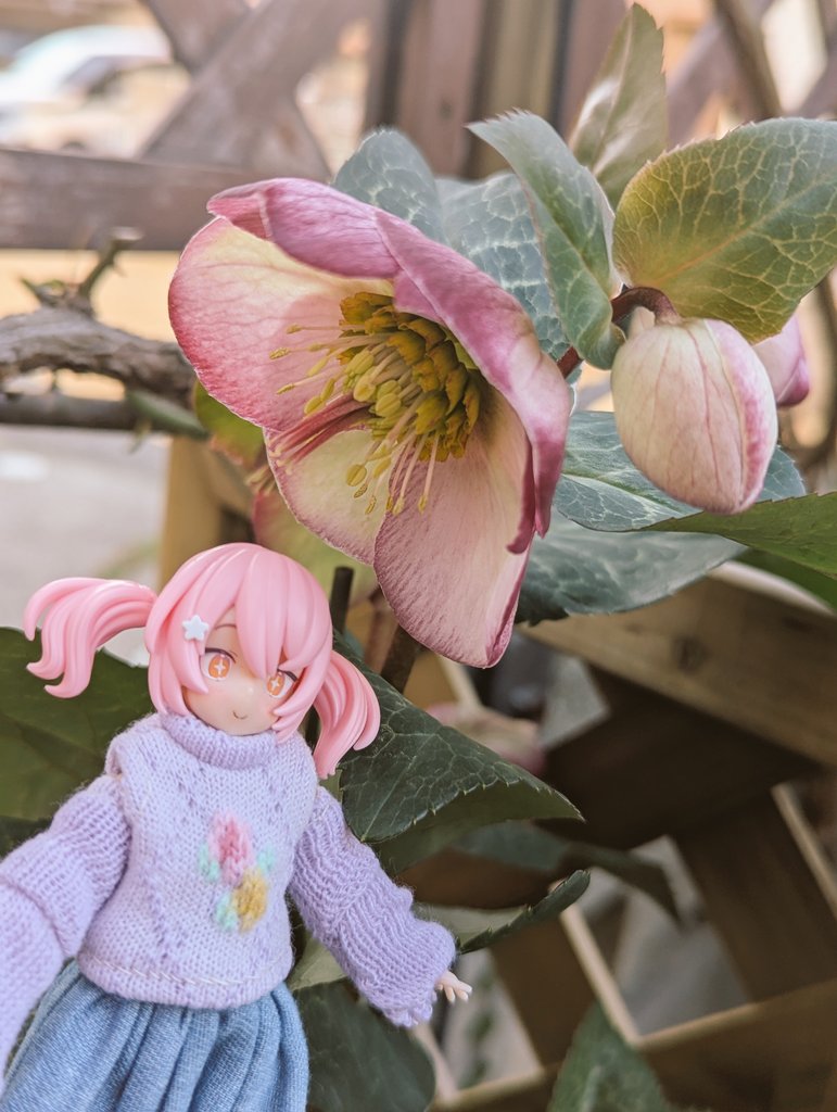 poppo715 (@poppo715poppo) / Posts / X