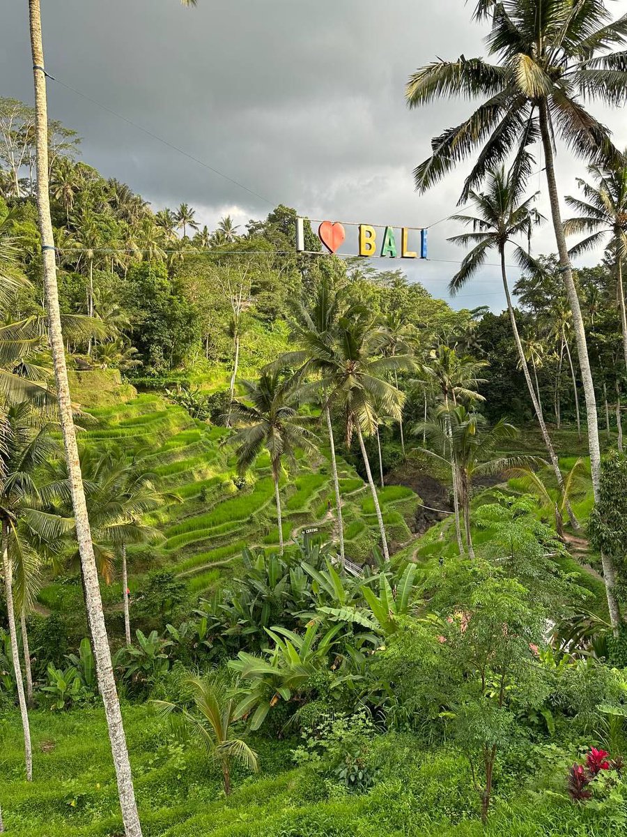 Sottoven's tweet photo. I like this photo because it reminds me of the time when I was traveling on the island of Bali. 
@DataHaven_xyz https://t.co/yiljPBcB1M