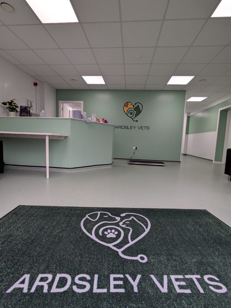 First Mats tweet media