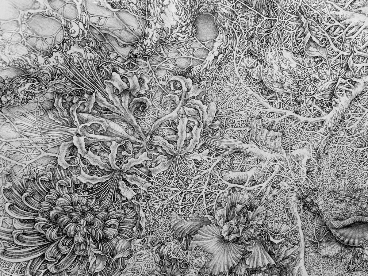 山田彩加《混ざり合う細胞―Mixed cells》 2022 リトグラフ、手彩 70