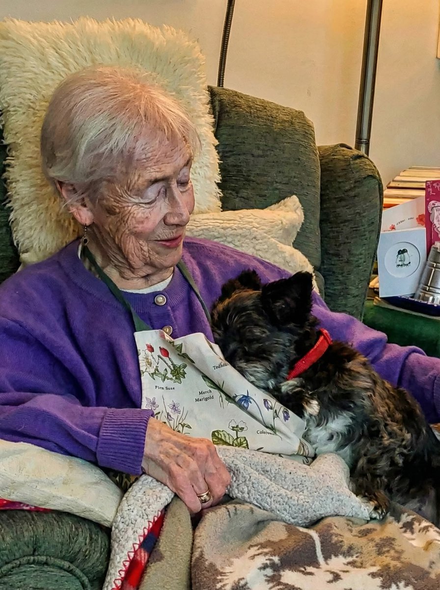 Crazy Vibes tweet media