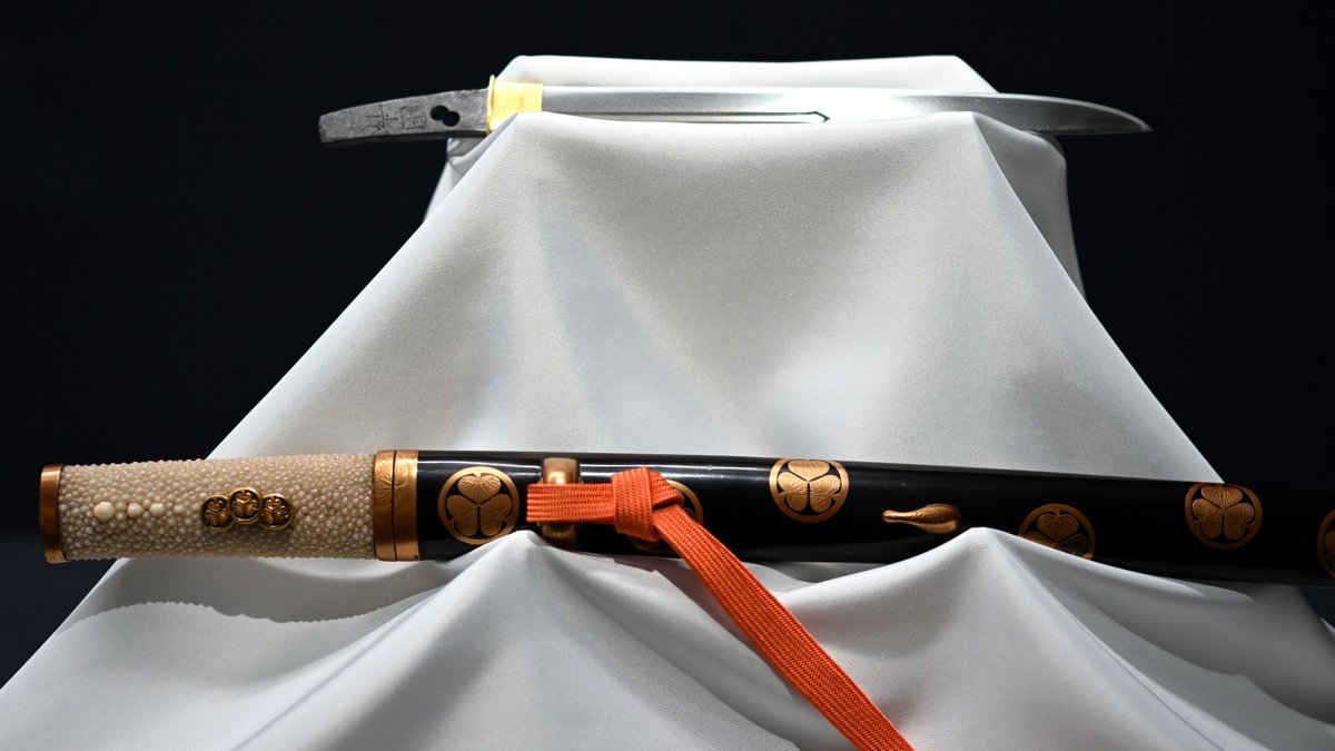 週末ウォーキング tweet media