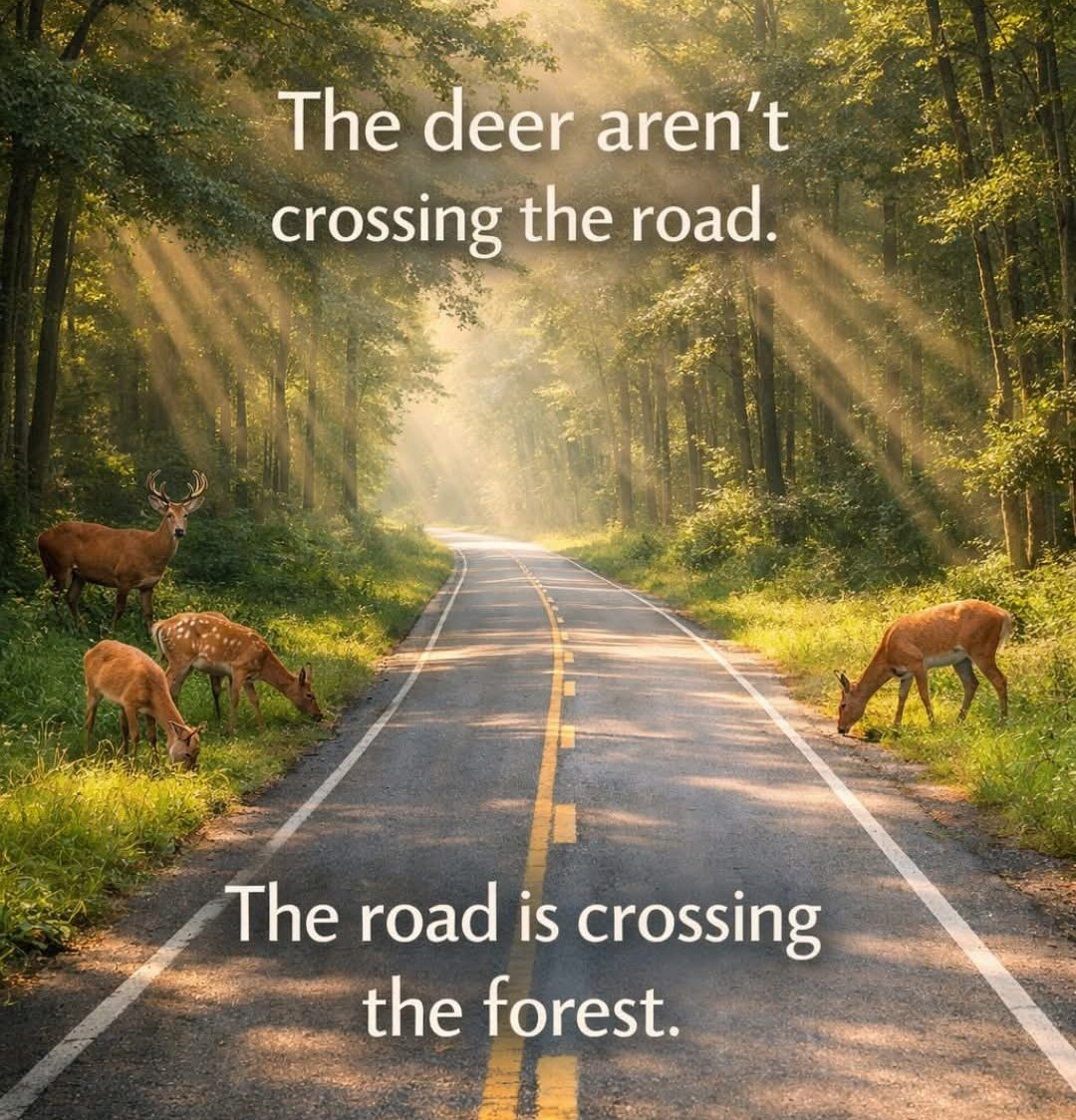 Absolutely 👏👏👏