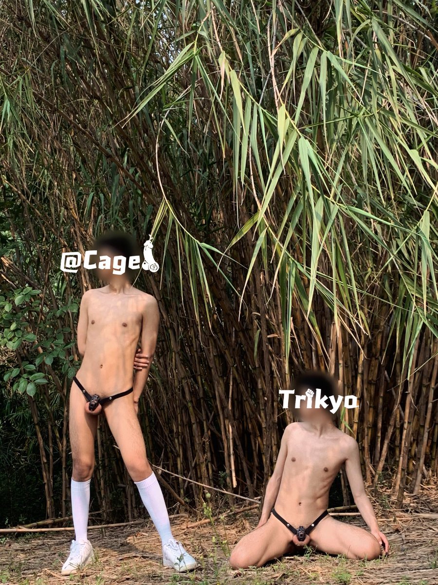 标准共犯 tweet media