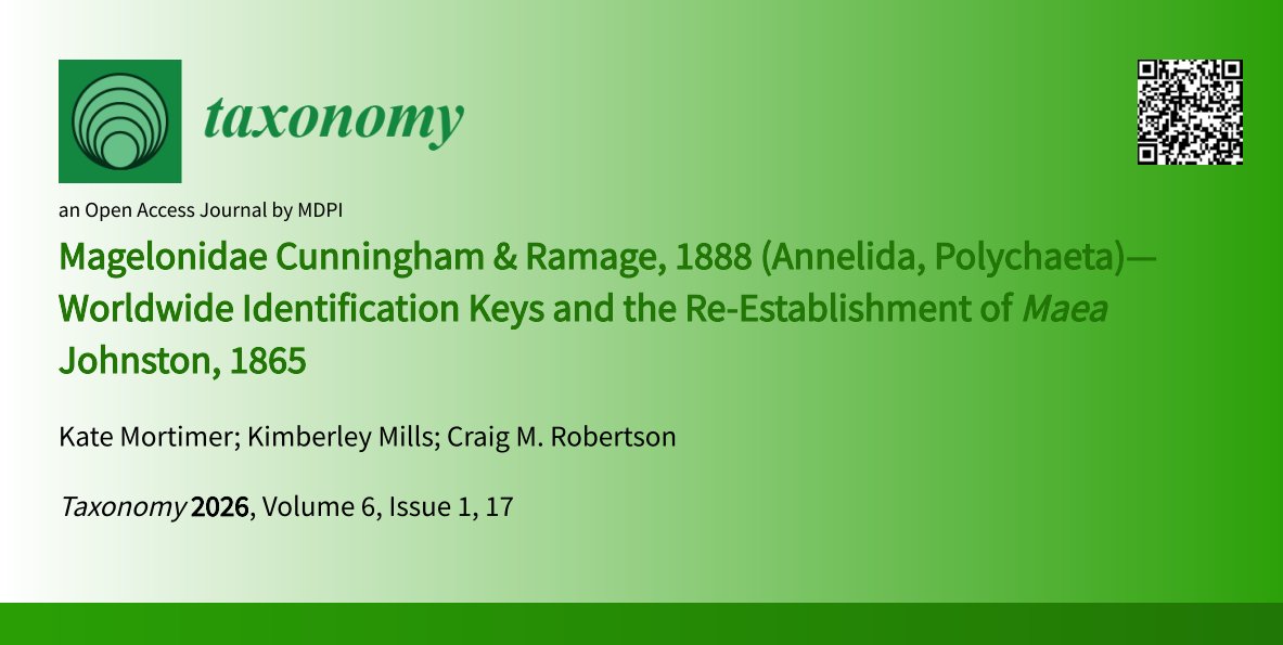 Cardiff Curator tweet media