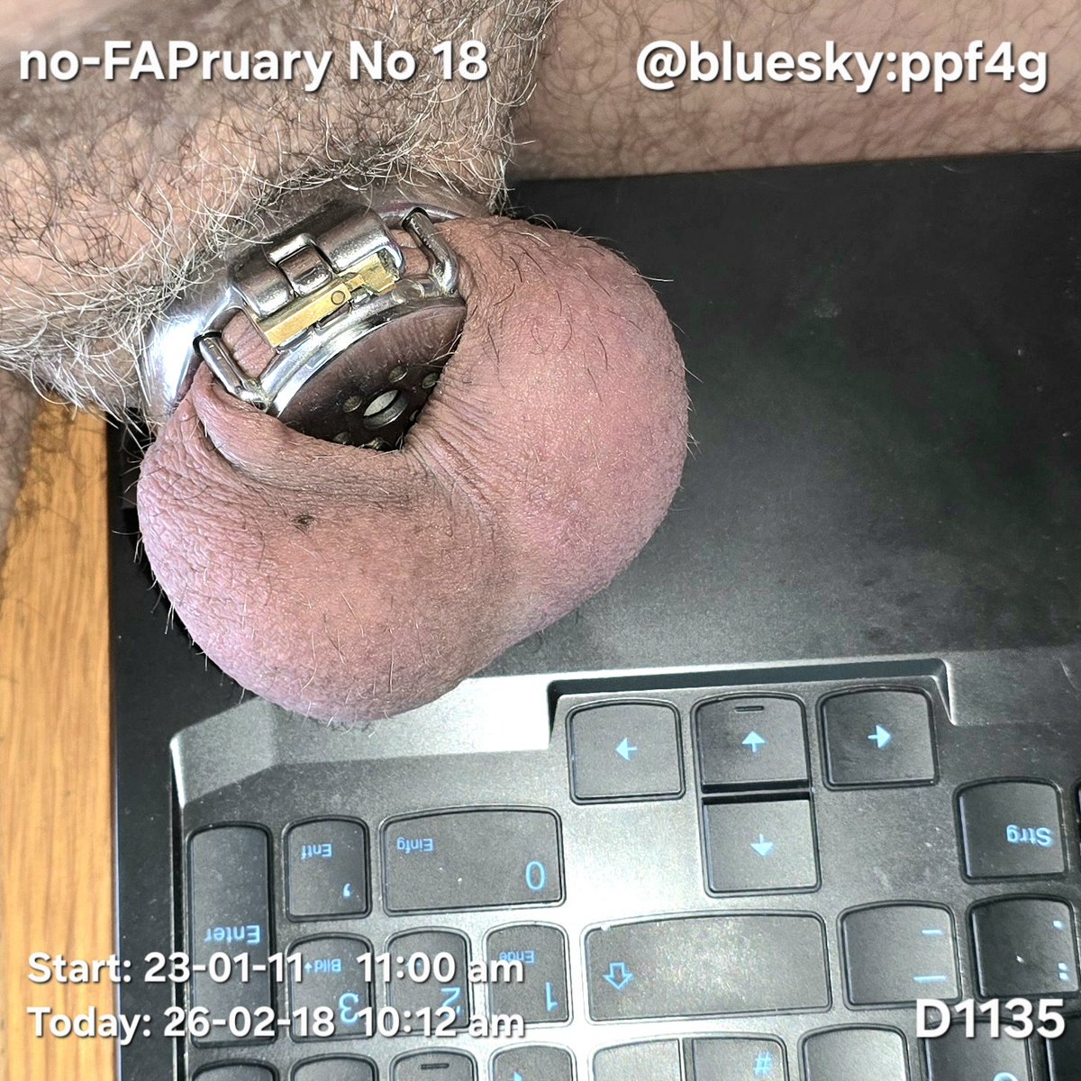 Morning #chastitycheck homeoffuce
Today 18.2.26 - 3Y+39D (D1.135/♾️) 
Thank you BO$$ <a href="/AlphaSteve99/">Master Steve (1,8k)</a>
#gaychastity #teamlocked #chastitysub <a href="/ChastitypigRTS/">chastityPIG (RT’s) 🐷👀 - (8.4K)</a> <a href="/ChastityCtrl/">ChastityControl</a> #Orgasmcontrol #shrinkit #NoFAPruary