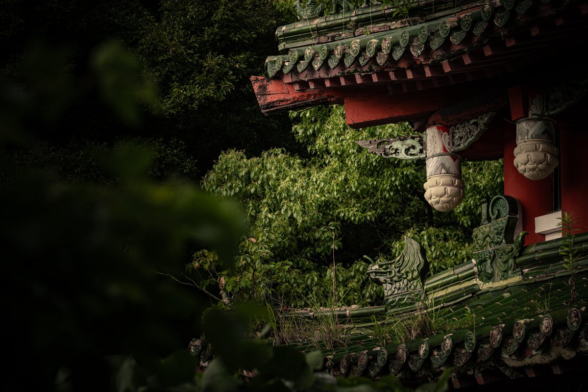 urbex47.🎥廃墟record tweet media