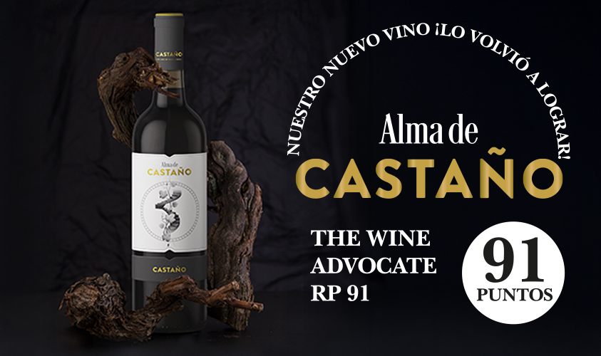 Bodegas Castaño tweet media