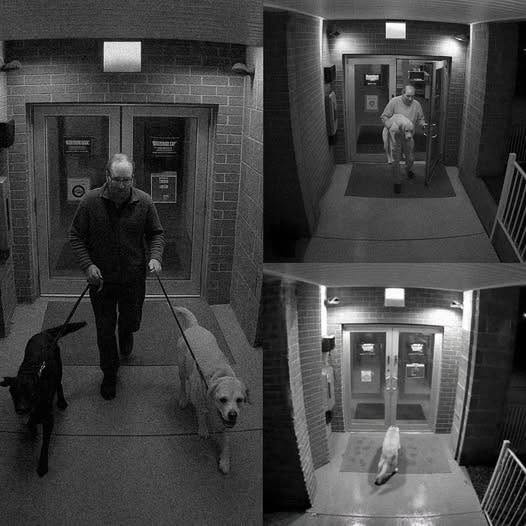 WarriorNight007's tweet photo. Man adopts a dog, but the next day dog runs back to the shelter.
After losing his wife on September 27, 2025, John walked into the nearby shelter on October 16, 2025 searching for comfort.
There, he met a gentle dog with soft, bright eyes. She ran straight to him, as if she already knew his heart. He named her Sally, after his late wife, a name that once carried all the love he thought he’d lost.
That night, Sally broke through the door and vanished into the dark. John searched the streets until his voice cracked, calling her name again and again. But she was gone.
The next morning, the shelter called. Sally had returned, not to escape, but to bring someone back. Her best friend.
When John arrived, he saw Sally curled beside another dog, their bond unshakable. In that moment, he understood.
He smiled through tears as he signed the papers for both of them. “I named her after my wife,” he whispered. “And him after me. They were soulmates… just like us.”

Credit to the rightful owner