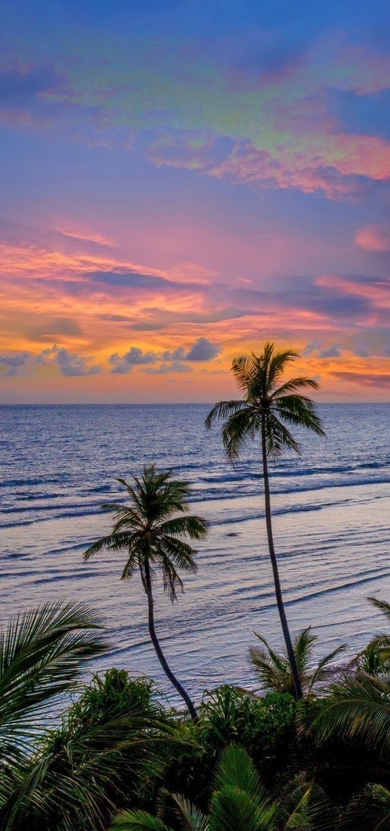 Archillct tweet media