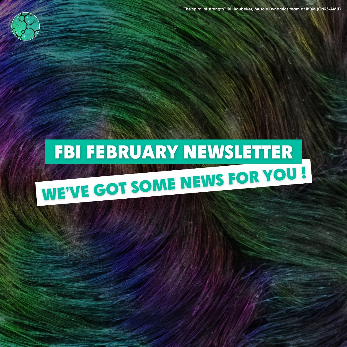 France-BioImaging Research Infrastructure tweet media