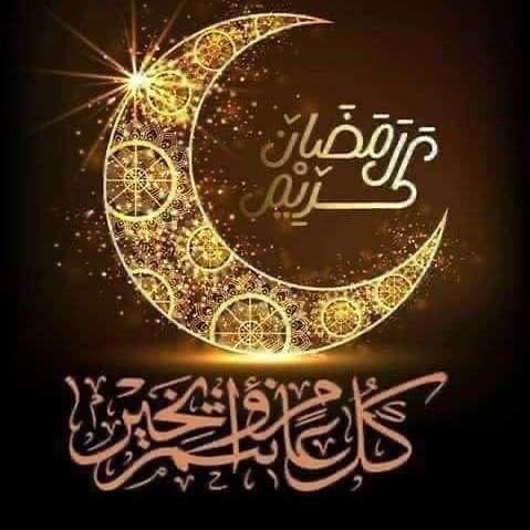 Saib Khidir (صائب خدر) tweet media