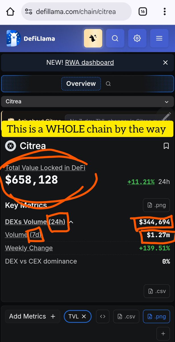 Kitty Da Cutie tweet media