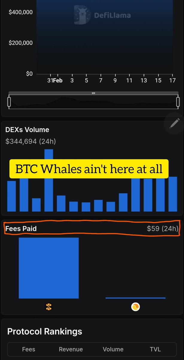 Kitty Da Cutie tweet media