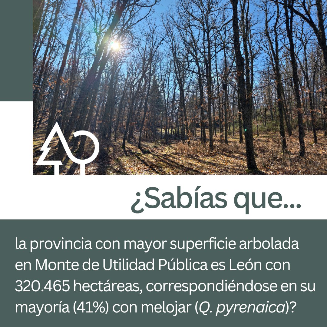 Red Estatal de Montes Públicos (REMP) tweet media