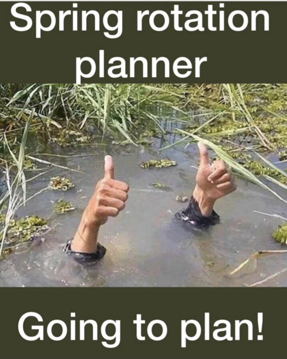 🇺🇦Noel O Connor🐄 tweet media