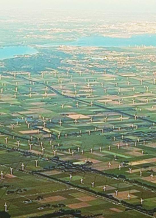 <a href="/EelcoHoecke/">Eelco Van Hoecke</a> Flevoland en NOP