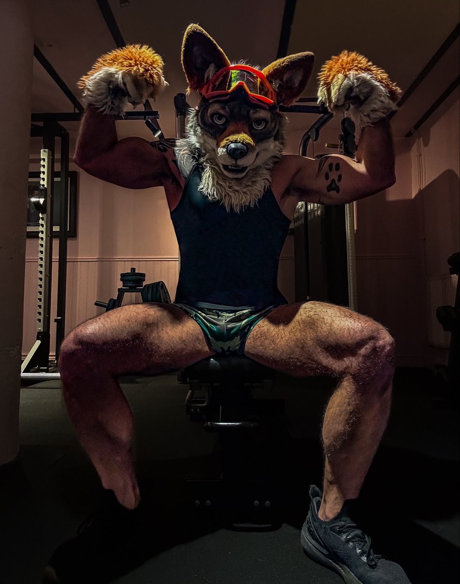 The Dog General tweet media