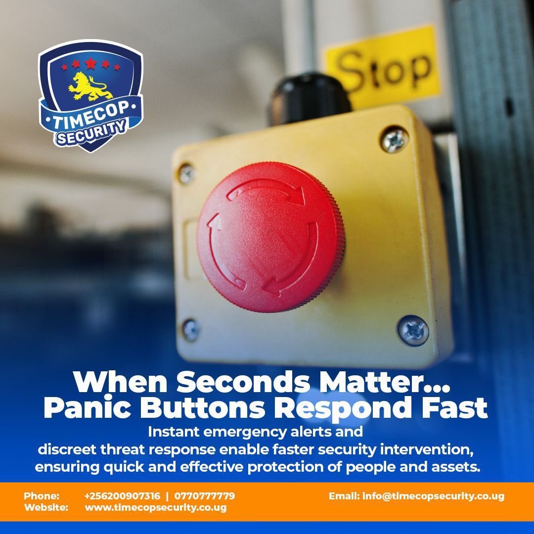 NBS Television tweet media