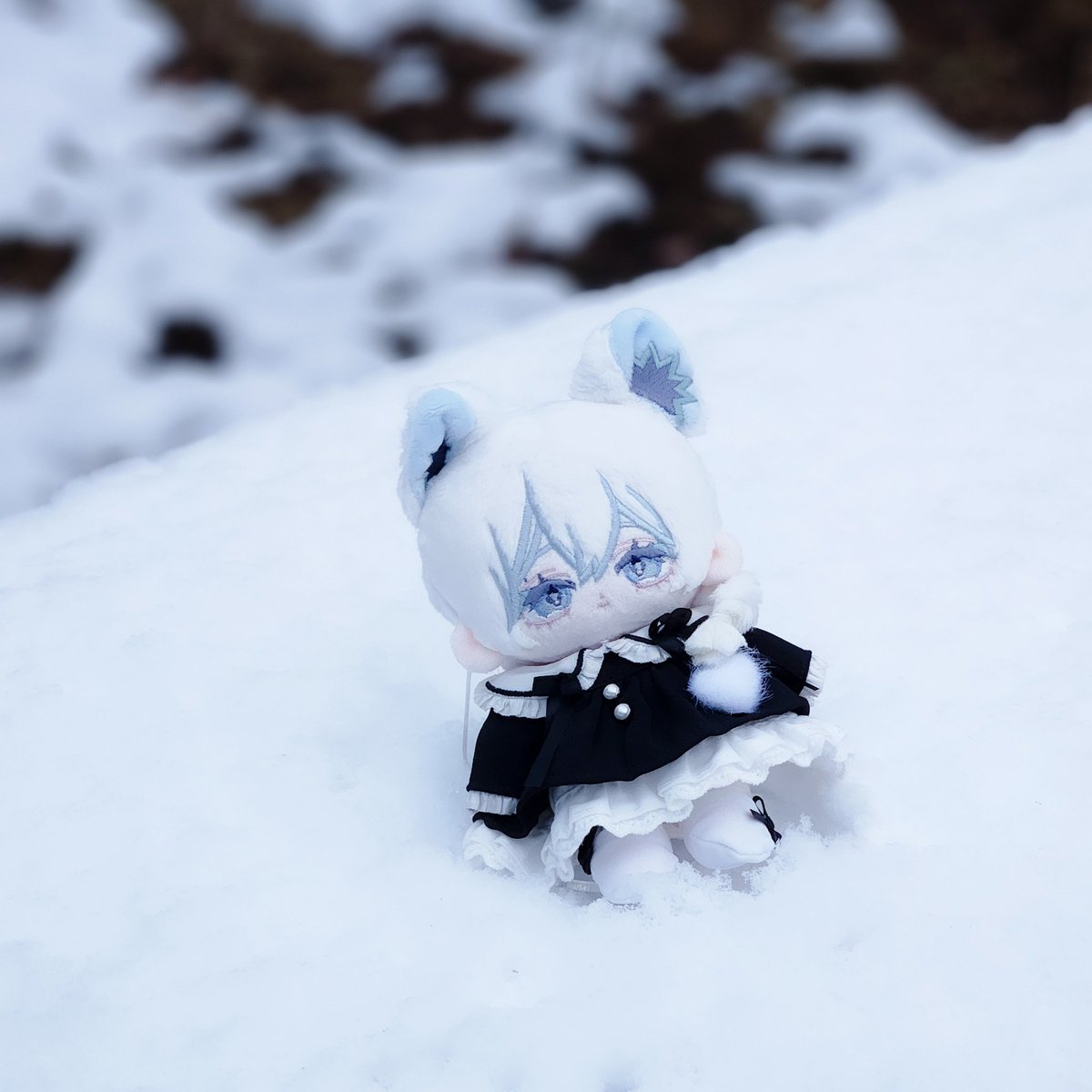 蓑原2号 tweet media