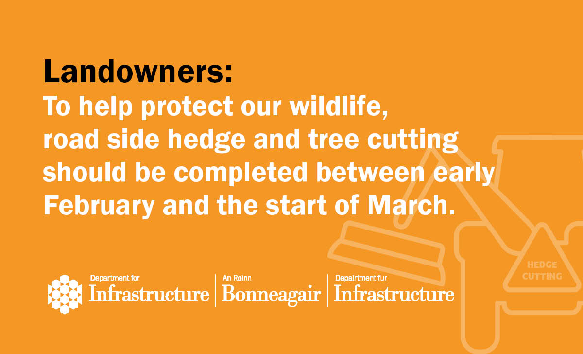 Department for Infrastructure tweet media