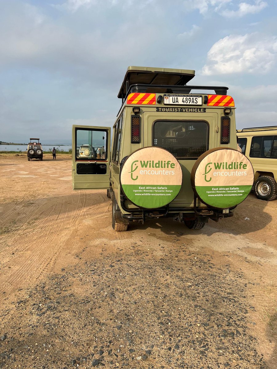 Wildlife Encounters tweet media