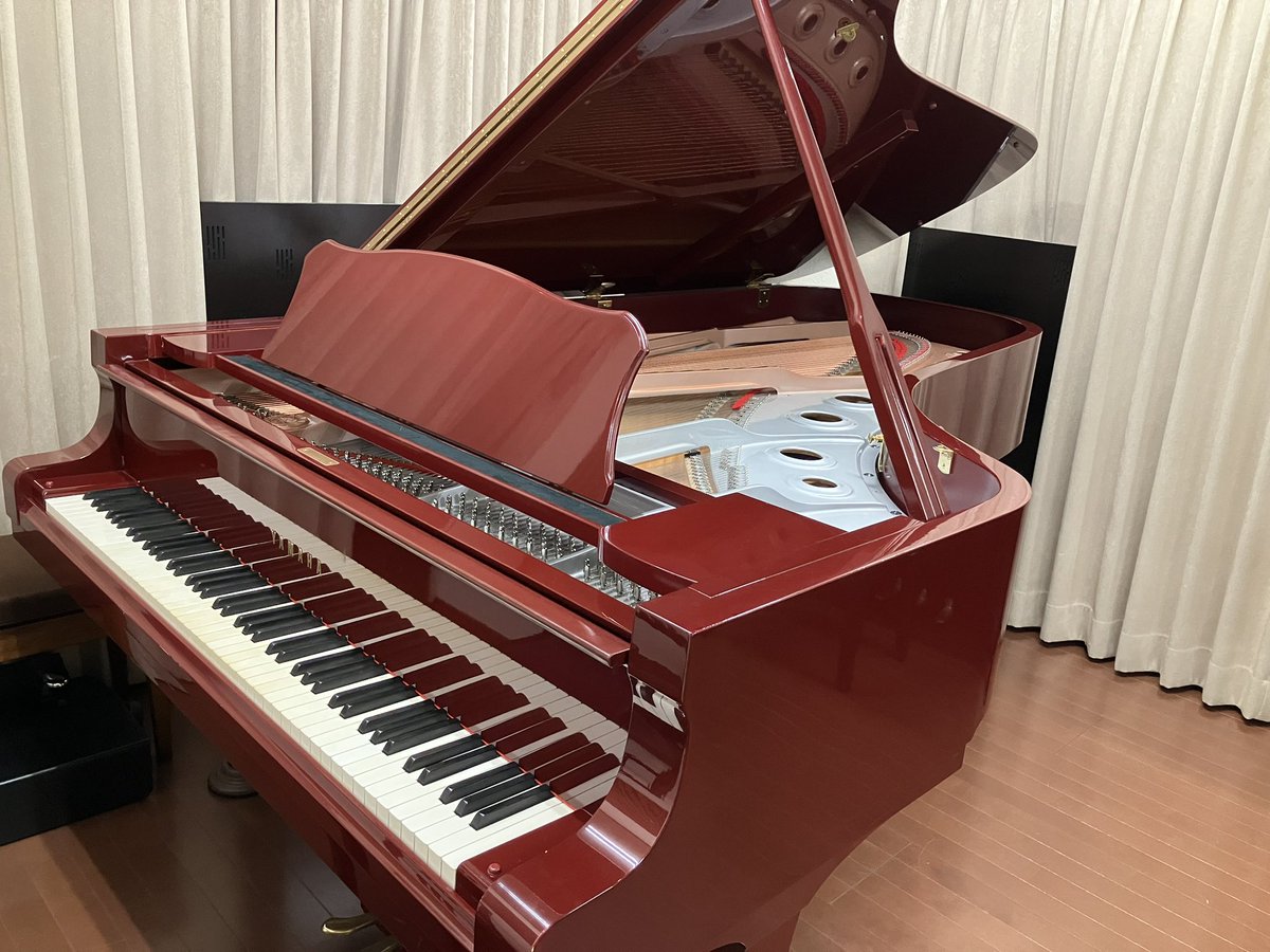 渡部 真理子 Mariko Watanabe tweet media